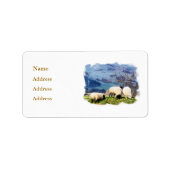 SCHAPEN ETIKET (Voorkant)