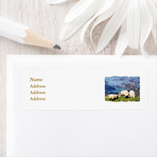 SCHAPEN ETIKET (Insitu)