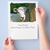 SCHAPEN FLYER (Hand)