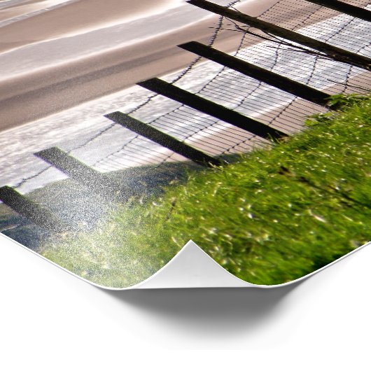 SCHAPEN FOTO AFDRUK (Hoek)