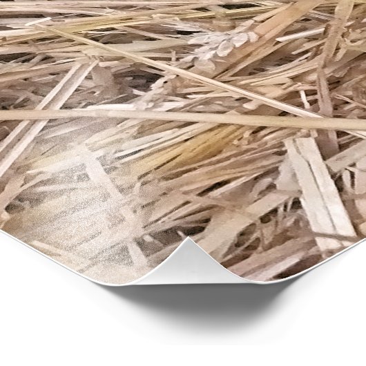 SCHAPEN FOTO AFDRUK (Hoek)