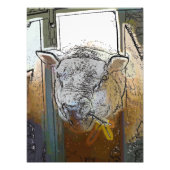 SCHAPEN FOTO AFDRUK (Voorkant)