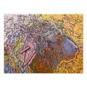 SCHAPEN FOTO AFDRUK (Voorkant)