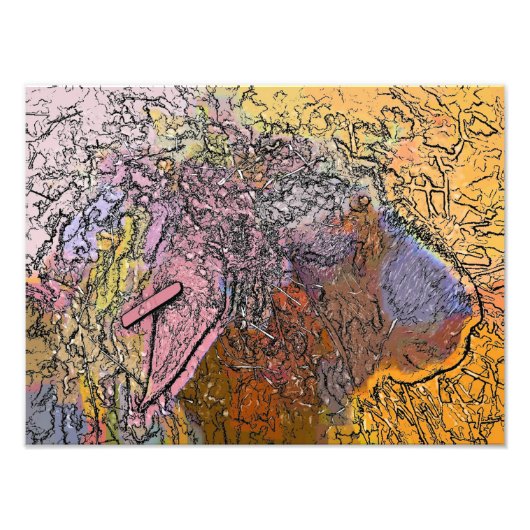 SCHAPEN FOTO AFDRUK (Voorkant)