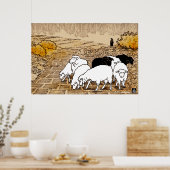 Schapen gaan tot stilstand komen poster (Keuken)