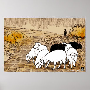 Schapen gaan tot stilstand komen poster