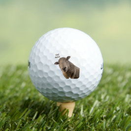 Schapen Golfballen