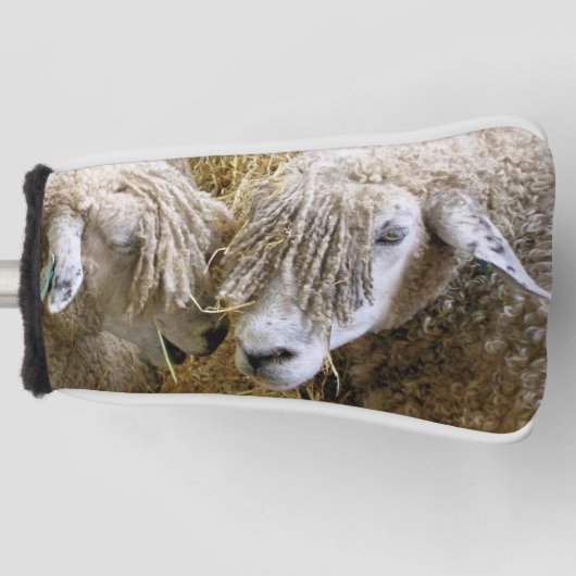 SCHAPEN GOLFHEADCOVER (Voorkant)