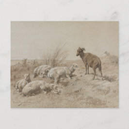 Schapen Grafiet Artwork Scrapbook Papier