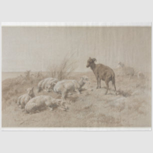 Schapen Grafiet Kunstwerk Decoupage Papier