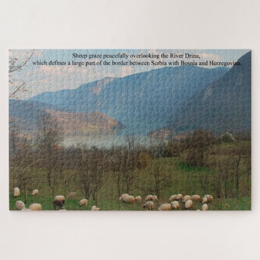 Schapen grazen aan de grens met Bosnië Legpuzzel (Horizontaal)