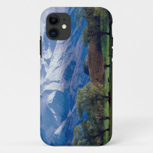 Schapen grazen onder de met sneeuw bedekte Harris Case-Mate iPhone Case