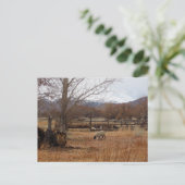 Schapen Grazen op Boerderij Briefkaart (Staand voorkant)