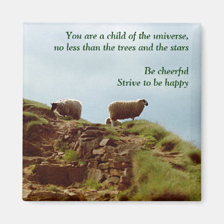 Schapen grazen op een Mountain Desiderata Magnet