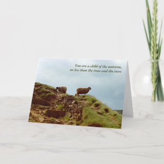 Schapen grazen op een Mountain UK Peaks Desiderata Kaart