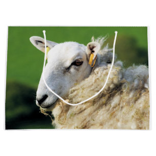 SCHAPEN GROOT CADEAUZAKJE