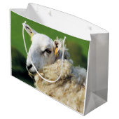 SCHAPEN GROOT CADEAUZAKJE (Achterkant Gekanteld)