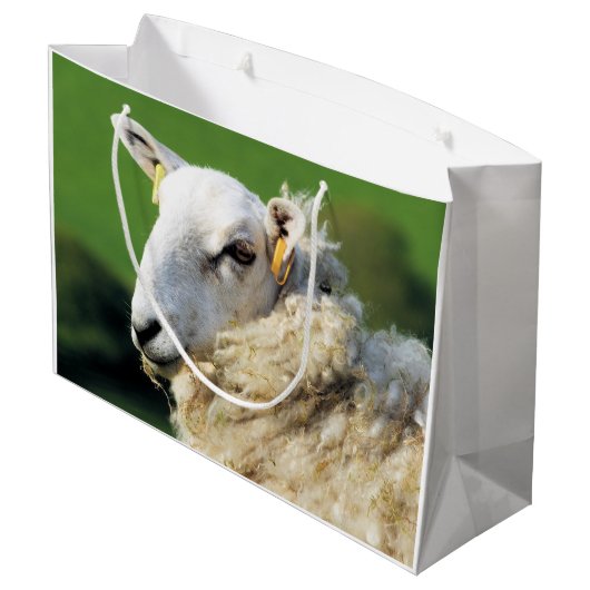 SCHAPEN GROOT CADEAUZAKJE (Achterkant Gekanteld)