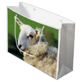 SCHAPEN GROOT CADEAUZAKJE (Voorkant Gekanteld)