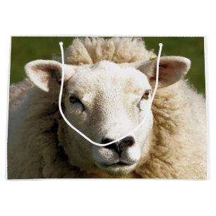 SCHAPEN GROOT CADEAUZAKJE