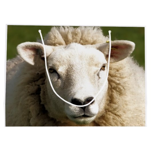 SCHAPEN GROOT CADEAUZAKJE (Achterkant)