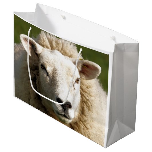 SCHAPEN GROOT CADEAUZAKJE (Voorkant Gekanteld)