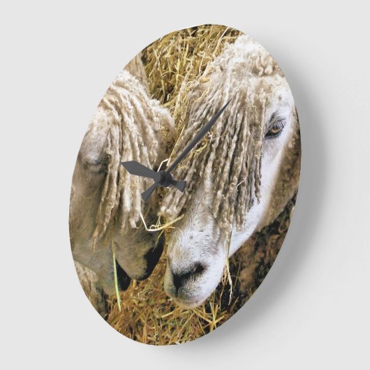 SCHAPEN GROTE KLOK (Hoek)