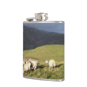 SCHAPEN HEUPFLES (Links)