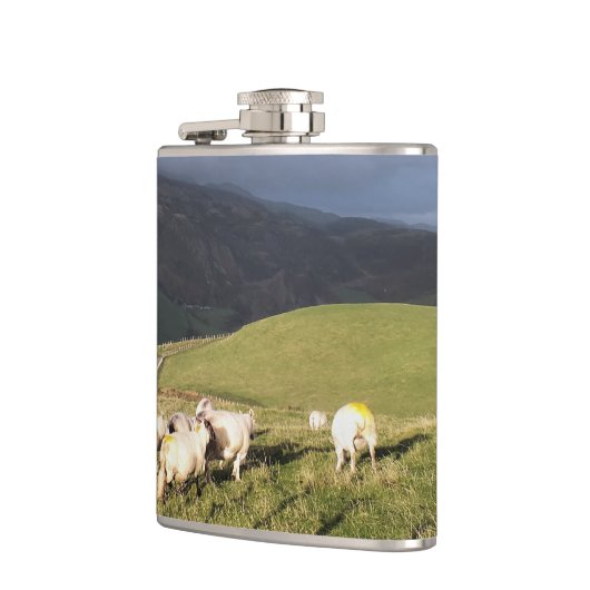 SCHAPEN HEUPFLES (Links)