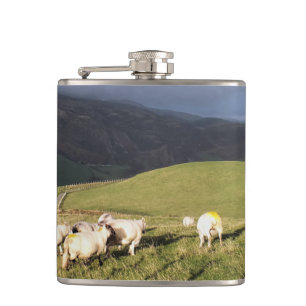 SCHAPEN HEUPFLES