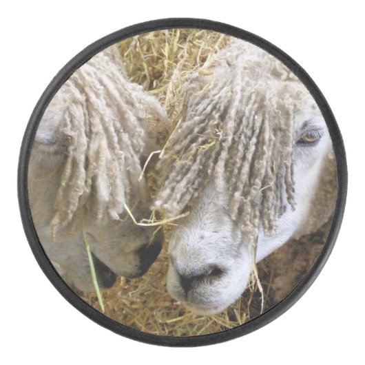 SCHAPEN HOCKEY PUCK (Voorkant)