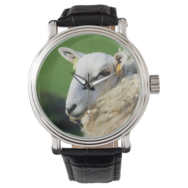SCHAPEN HORLOGE (Voorkant)