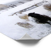 Schapen in april sneeuw poster (Hoek)