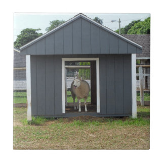 Schapen in BarnHouse Tile Tegeltje