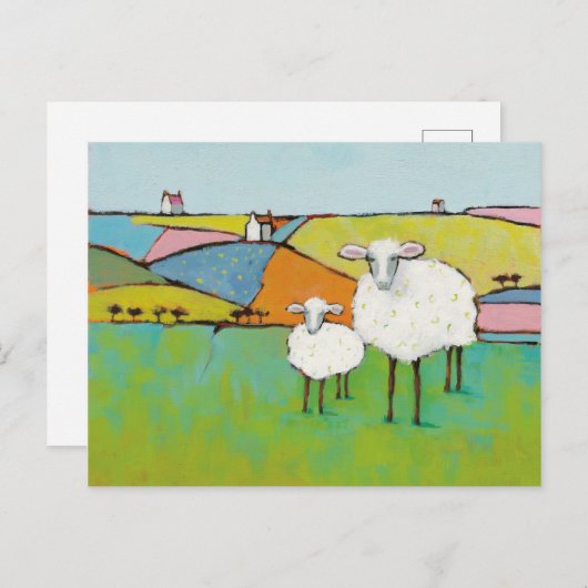 Schapen in de Meadow Briefkaart (Voorkant / Achterkant)