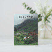 Schapen in de mist briefkaart (Staand voorkant)