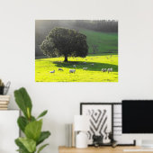 Schapen in de ochtendzon poster (Thuiskantoor)