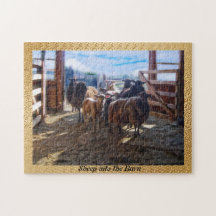 Schapen in de schuur
