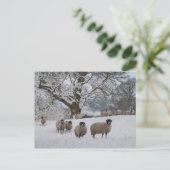 Schapen in de sneeuw briefkaart (Staand voorkant)