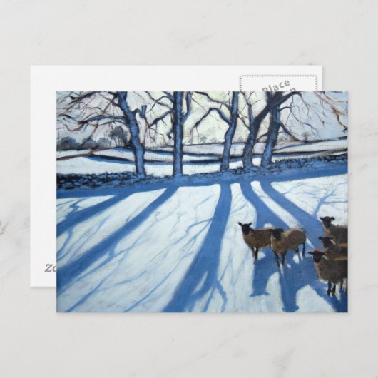 Schapen in de sneeuw van Derbyshire Briefkaart (Voorkant / Achterkant)