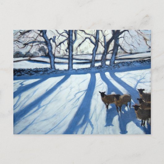 Schapen in de sneeuw van Derbyshire Briefkaart (Voorkant)