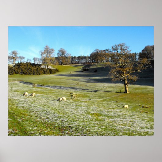 Schapen in de vorstvallei poster (Voorkant)