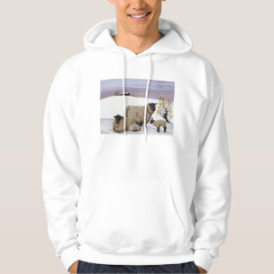 Schapen in de winter hoodie