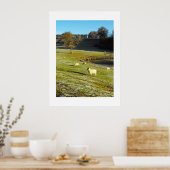 Schapen in de winter poster (Keuken)