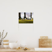 Schapen in de winterzon poster (Keuken)