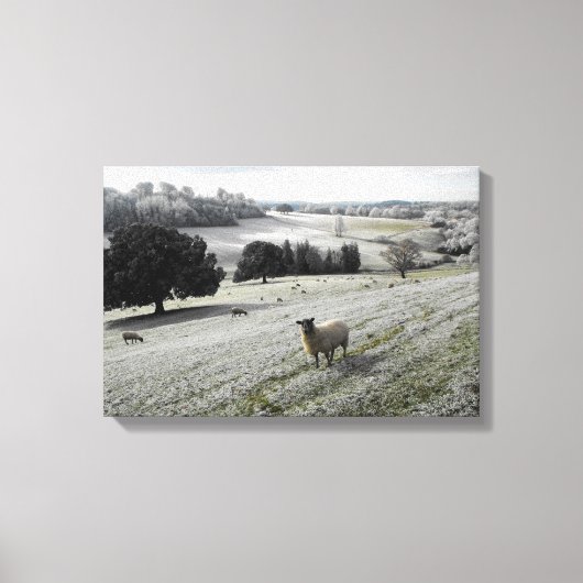 Schapen in een bevroren vallei canvas afdruk (Voorkant)