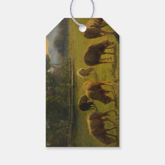 Schapen in een Landelijk Landschap (door Rosa Bonh Cadeaulabel (Voorkant)