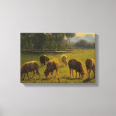 Schapen in een Landelijk Landschap (door Rosa Bonh Canvas Afdruk (Voorkant)