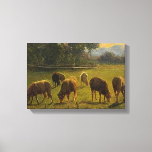 Schapen in een Landelijk Landschap (door Rosa Bonh Canvas Afdruk (Voorkant)