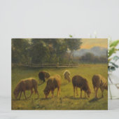 Schapen in een Landelijk Landschap (door Rosa Bonh Kaart (Staand voorkant)